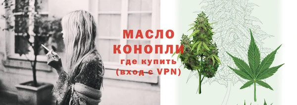 сатива Горнозаводск