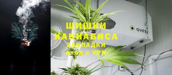 твердый Горно-Алтайск