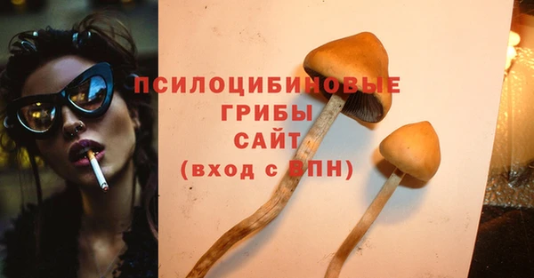 ПСИЛОЦИБИНОВЫЕ ГРИБЫ Гусев