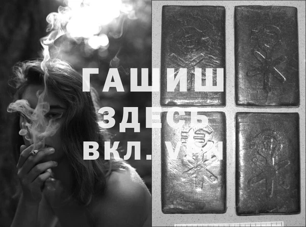 сатива Горнозаводск