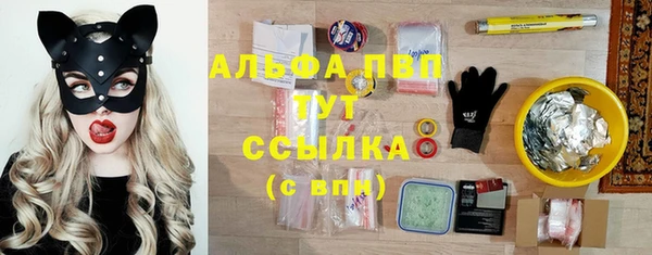 твердый Горно-Алтайск